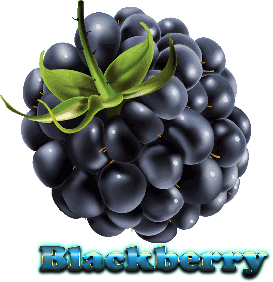 Juicy Blackberry Fruit Illustration