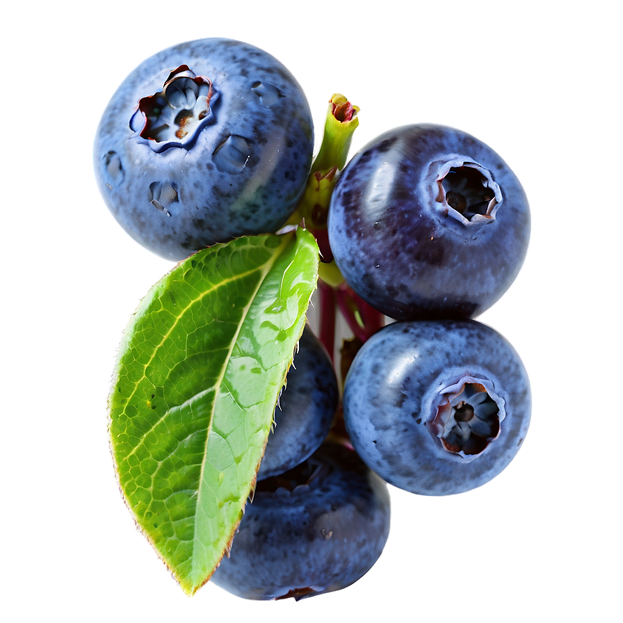 Juicy Blueberries PNG 05242024 PNG with transparent background