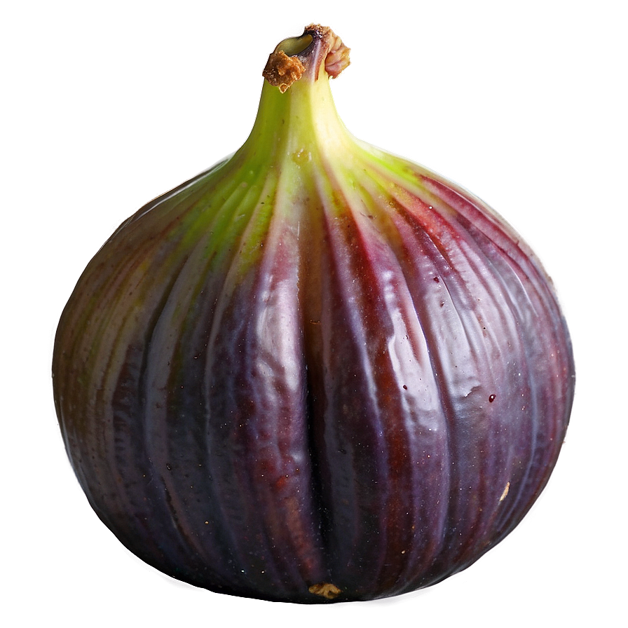 Juicy Fig Image Png 31