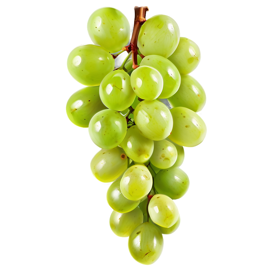 Juicy Green Grapes Bunch Png 05062024