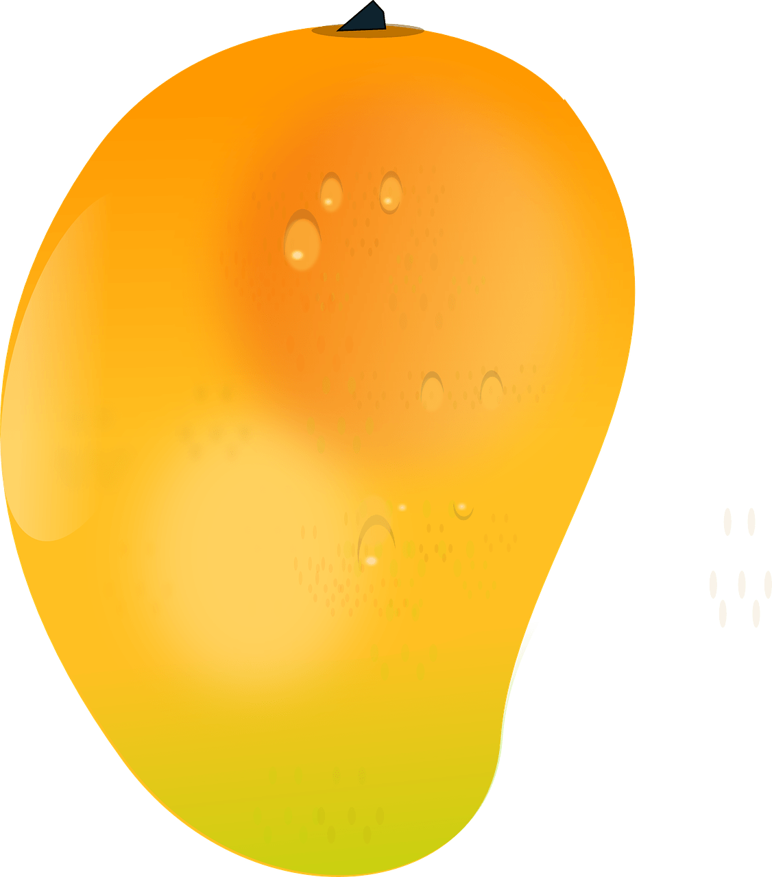 Juicy Mango Fruit Illustration PNG with transparent background