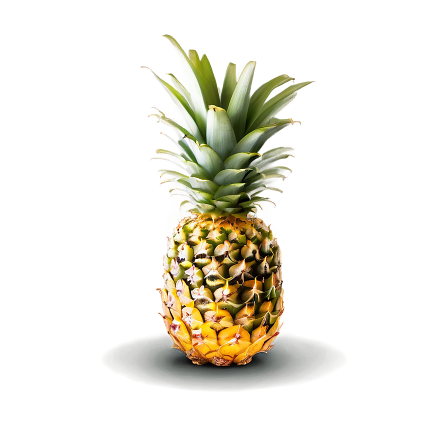 Juicy Pineapple Png Boa4