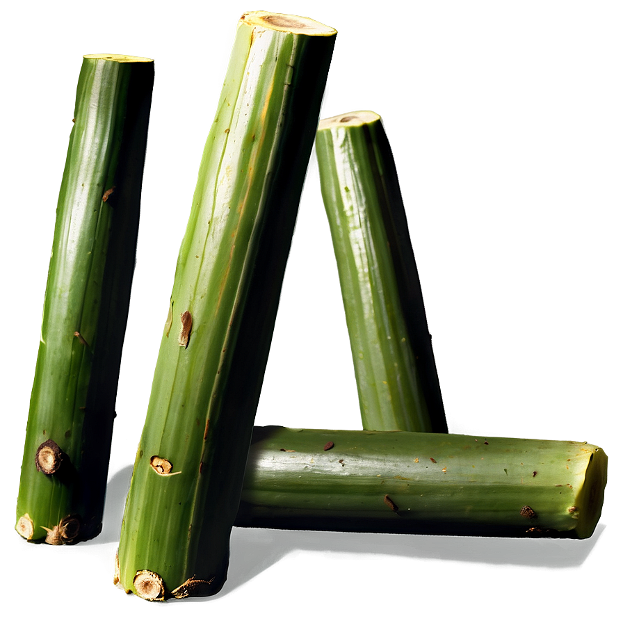 Juicy Sugarcane Segment Png 06262024