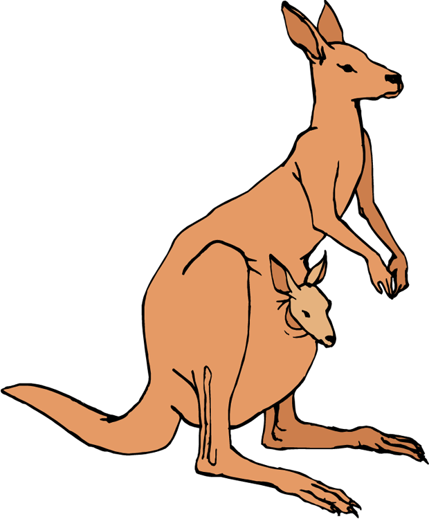 Jumping Kangaroo Clipart Free - Transparent Background Kangaroo Clip Art, HD Png Download PNG with transparent background