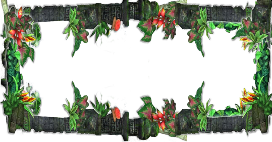 Jungle Frame Border Design PNG with transparent background