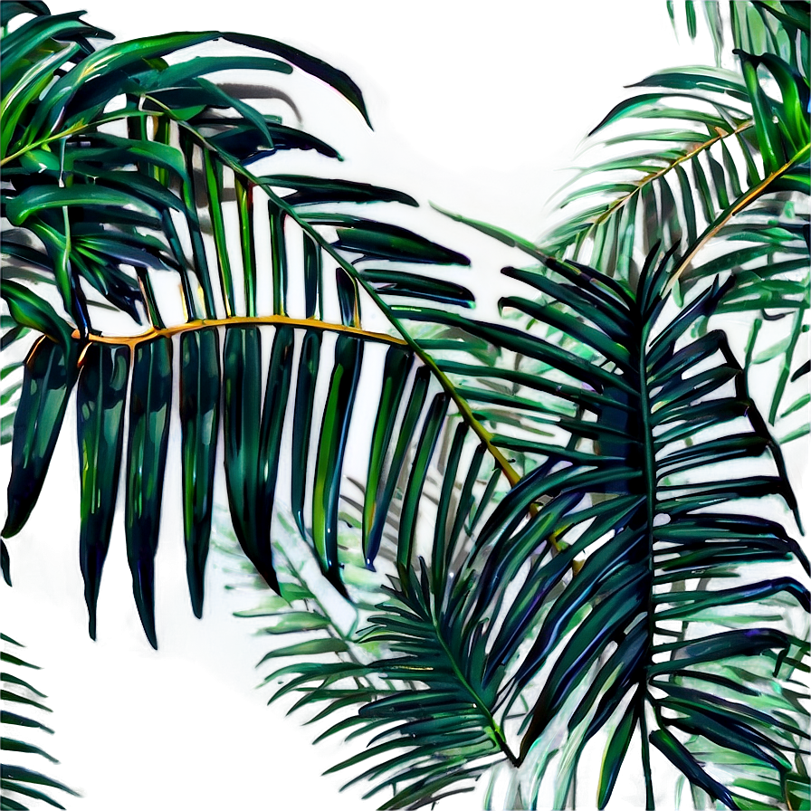 Jungle Palm Leaves Png 05252024