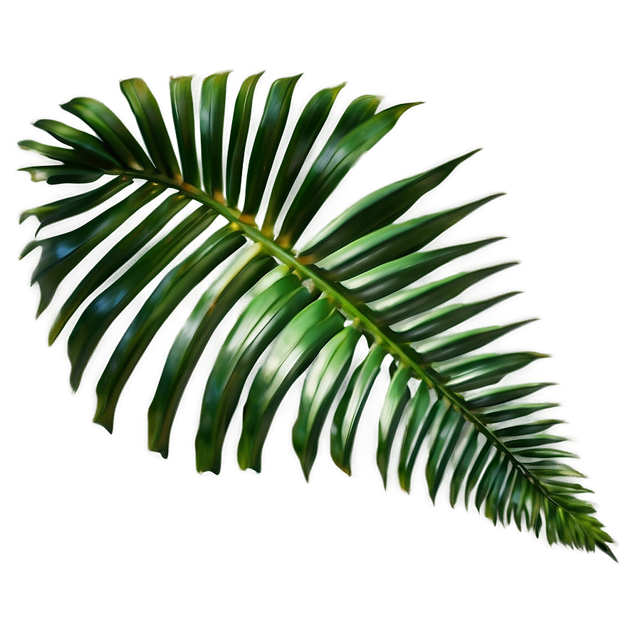 Jungle Palm Leaves Png Rlg