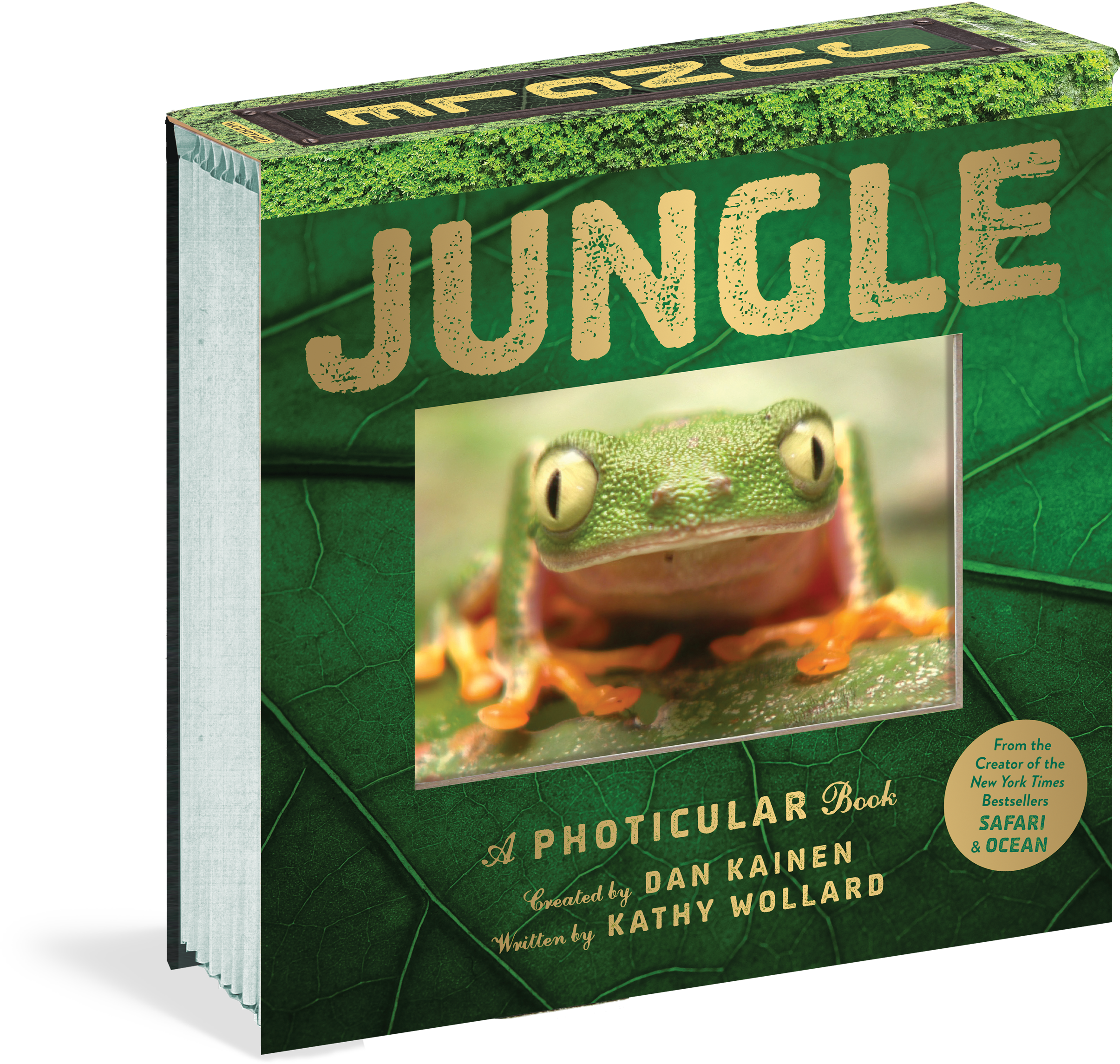 Jungle Photicular Book Cover PNG with transparent background