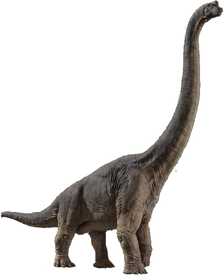 Jurassic Brachiosaurus Profile PNG with transparent background