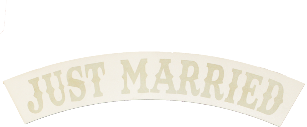 Just Married Banner