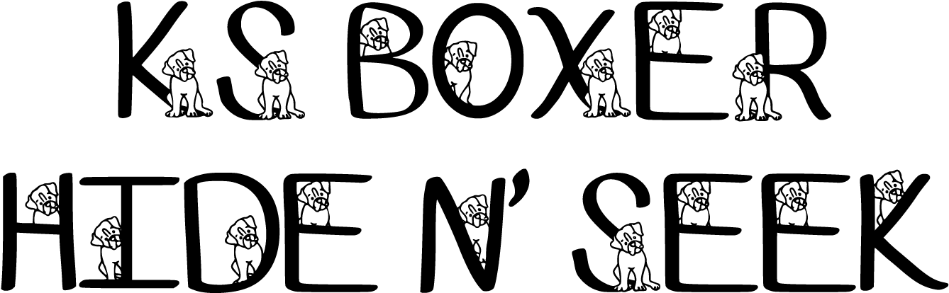 Sample Image Of Ks Boxer Hide N Seek Font By Pretty, HD Png Download PNG with transparent background