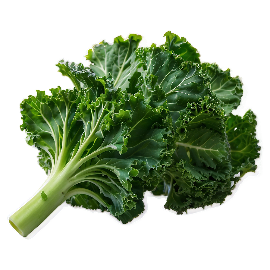 Kale B