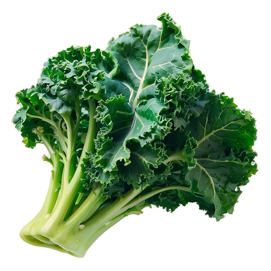 Kale Bunch Closeup Png 06252024