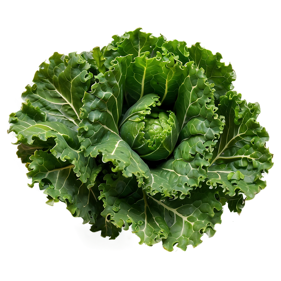 Kale Bunch Closeup Png 63