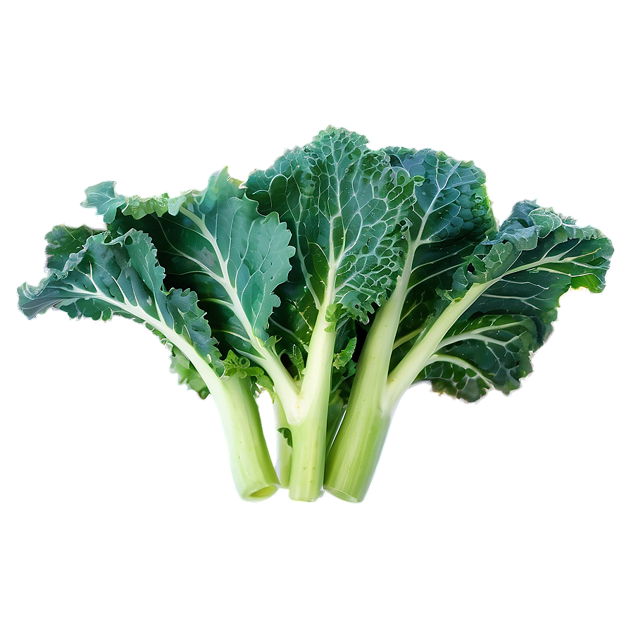 Kale Field Png Ygh44