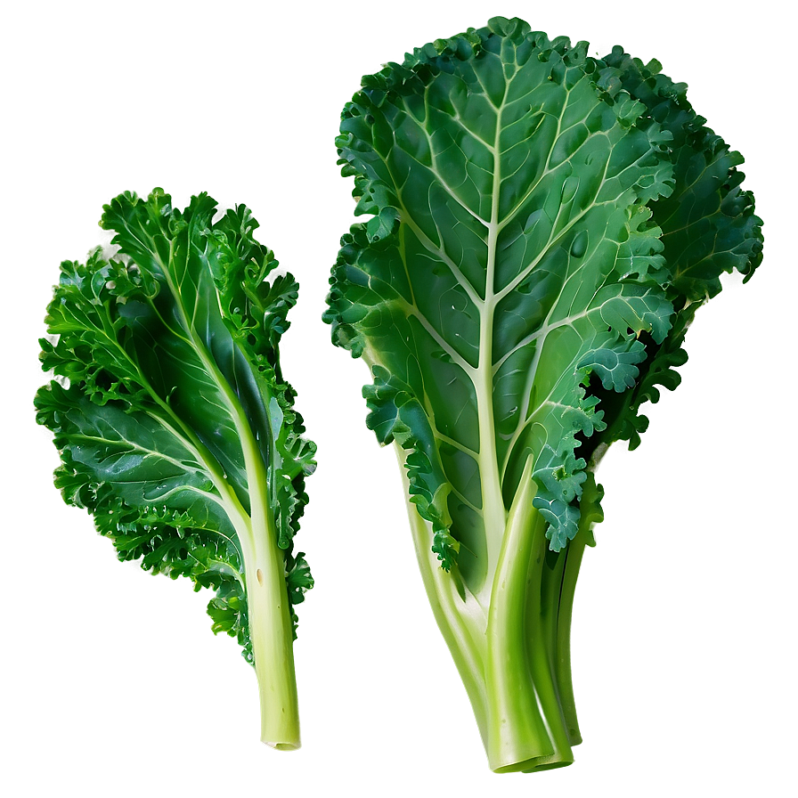 Kale Leaves Png Ogj