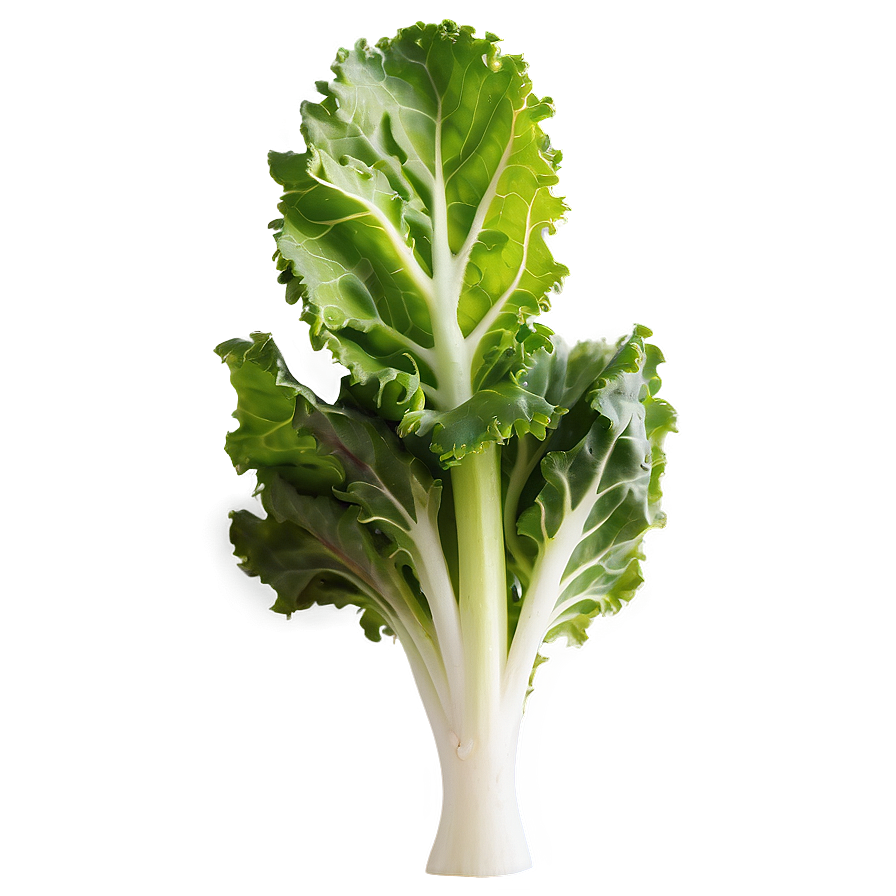 Kale Lettuce Mix Png 52