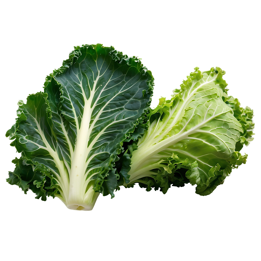 Kale Lettuce Mix Png Hqx62