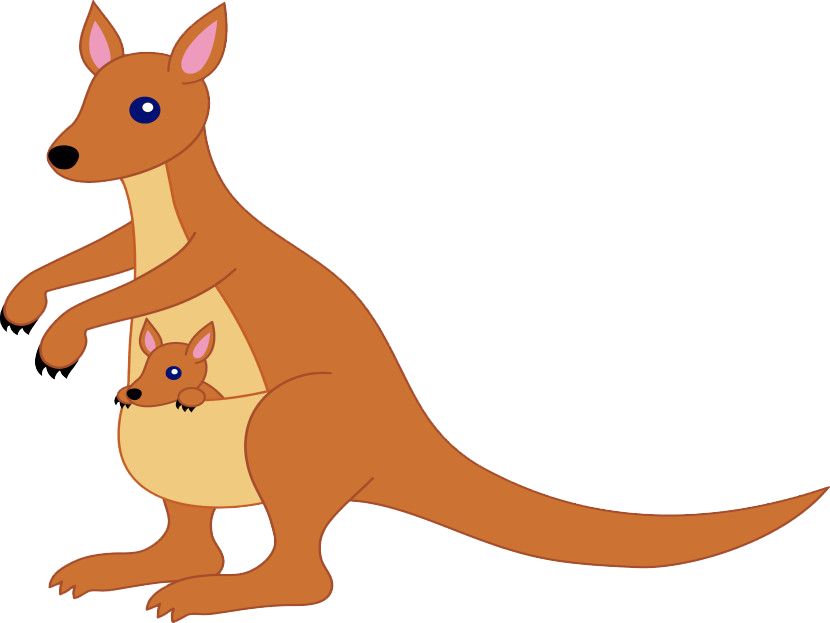 Kangaroo Cartoon Png Free Download - Clipart Picture Of Kangaroo, Transparent Png PNG with transparent background