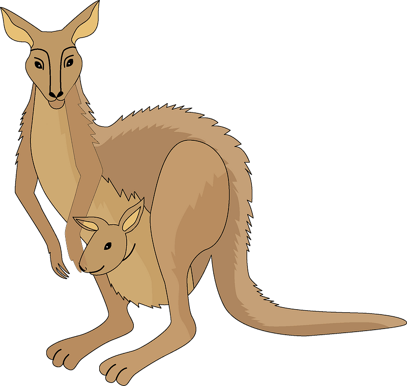 Kangarooand Joey Cartoon