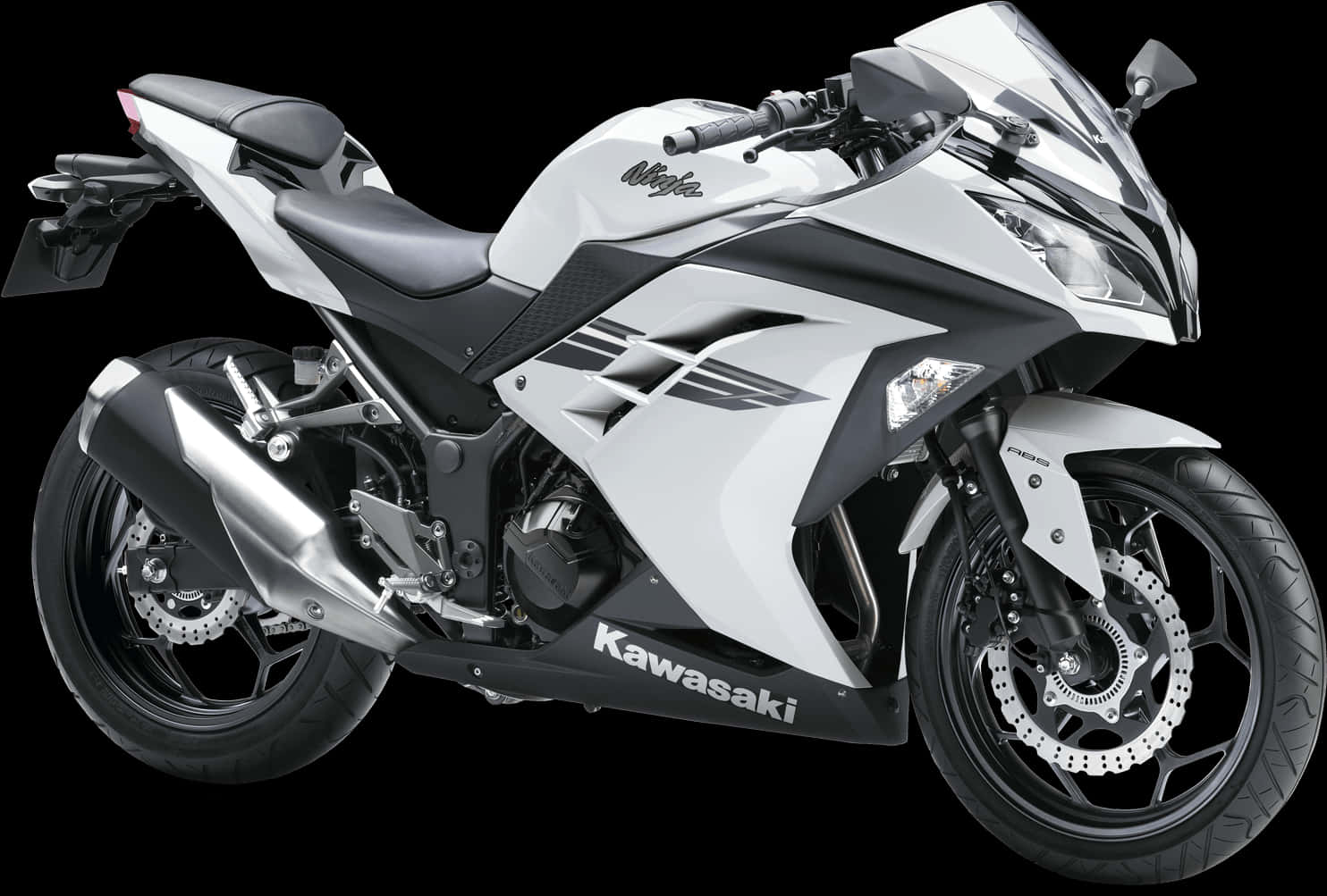 Kawasaki Ninja Sportbike