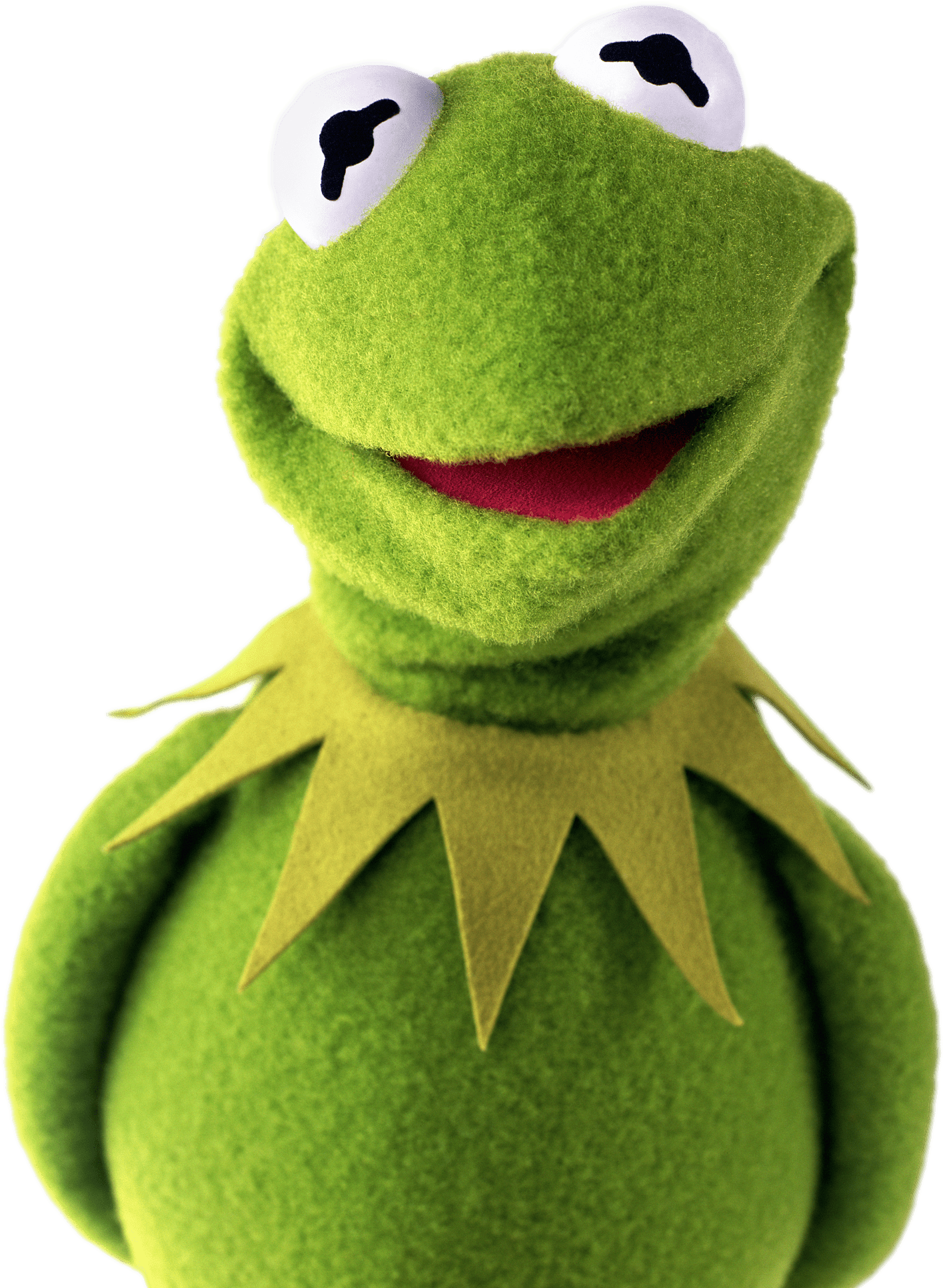 Kermit The Frog Shy - Kermit The Frog, HD Png Download PNG with transparent background
