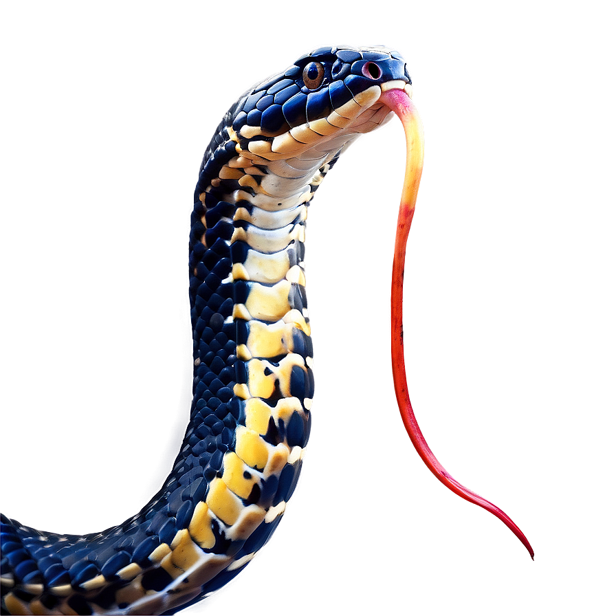 King Cobra Snake PNG 05032024 PNG with transparent background