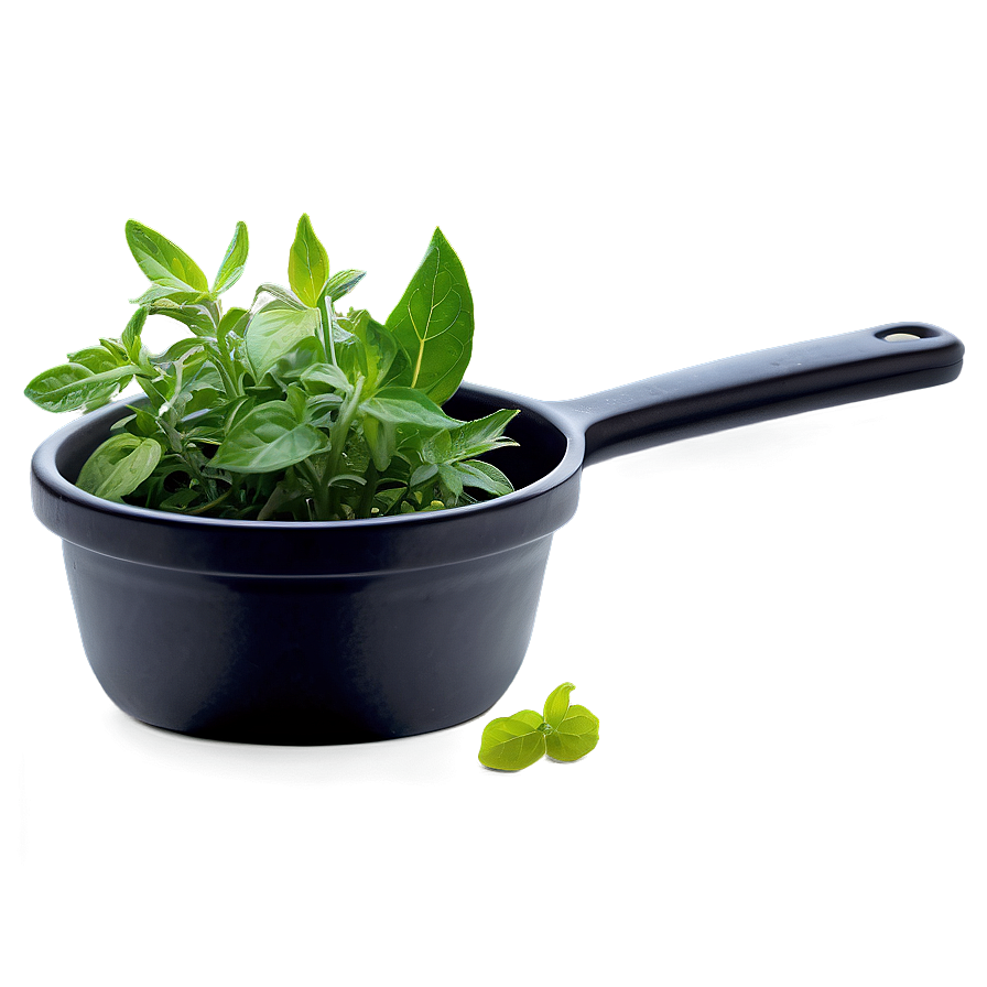 Kitchen Herb Png 14