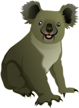Koala Clipart PNG with transparent background
