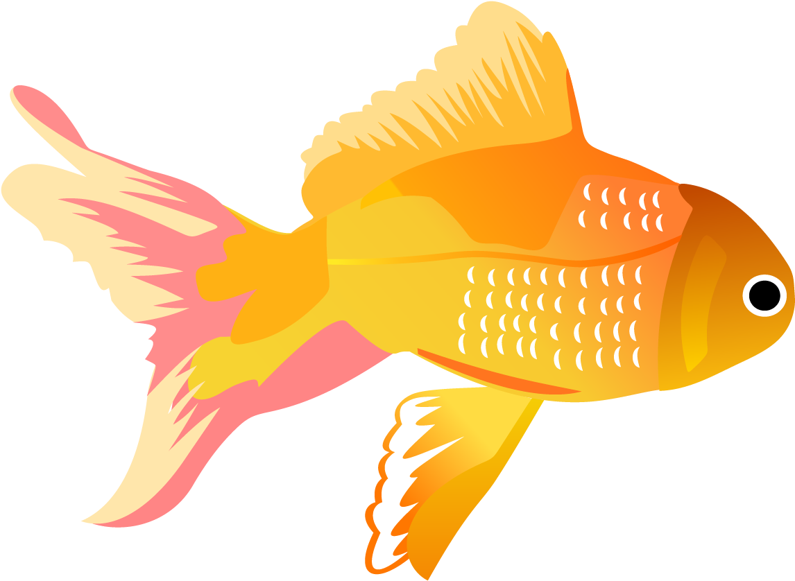 Koi Carassius Auratus Clip - Png Tropical Fish Fish, Transparent Png PNG with transparent background