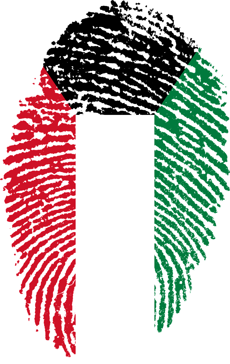 Kuwait Fingerprint Flag Art PNG with transparent background