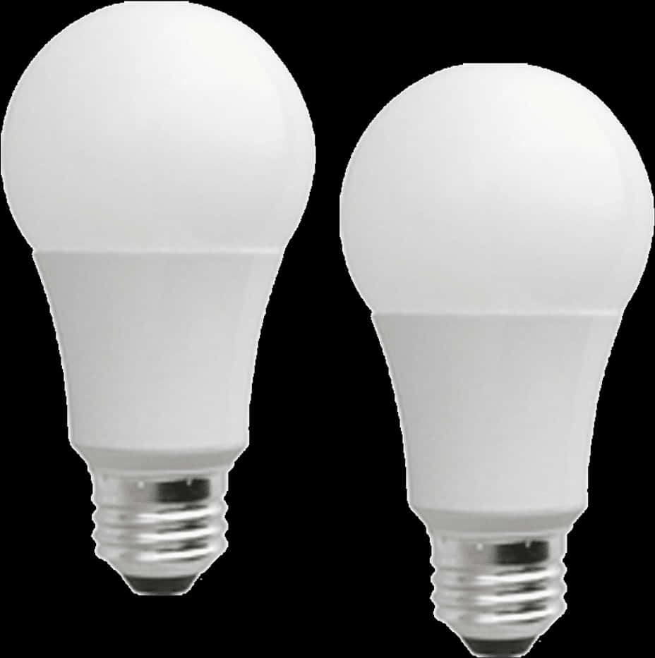 L E D Light Bulbs White Background