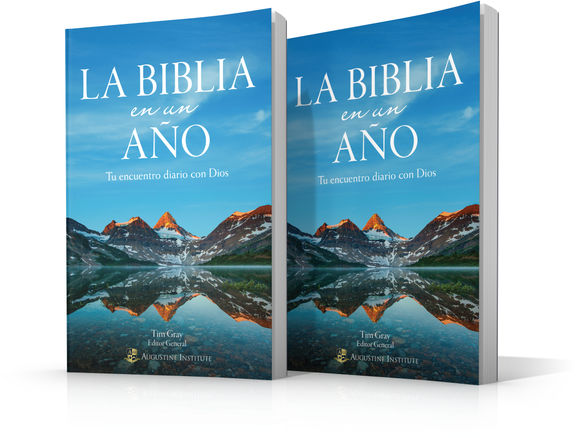 La Bibliaenun Ano Book Cover