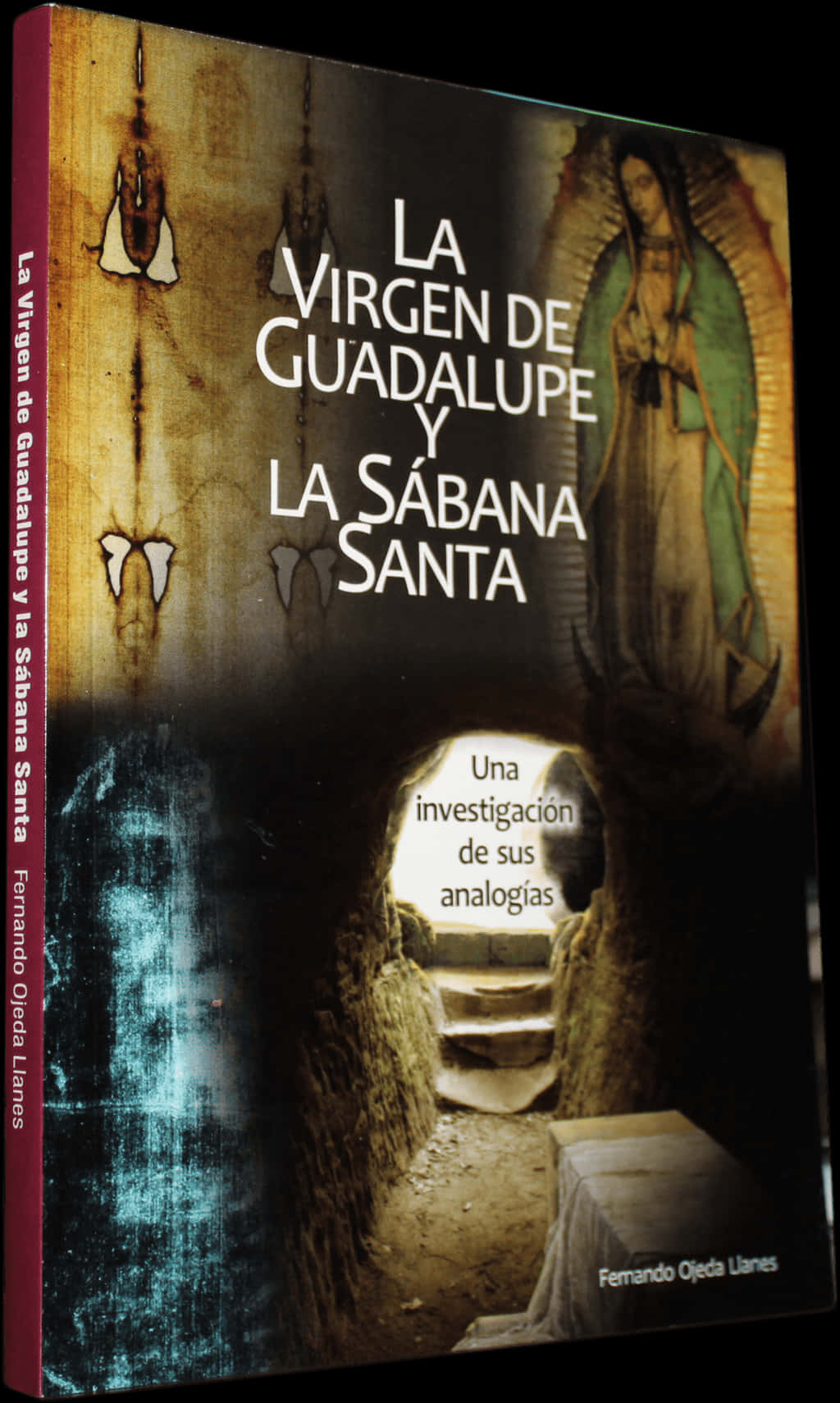 La Virgen De Guadalupey La Sabana Santa Book Cover