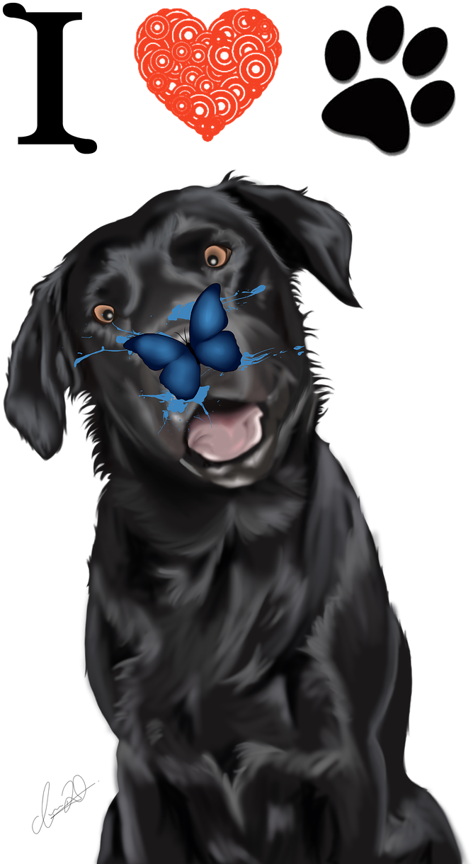 Labrador Dog Love Free Picture - Labrador Retriever, HD Png Download PNG with transparent background