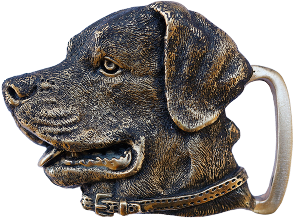 Labrador Retriever Buckle - Rottweiler, HD Png Download PNG with transparent background