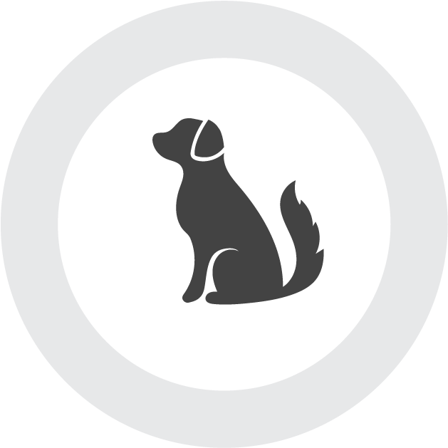 Labrador Silhouette Graphic