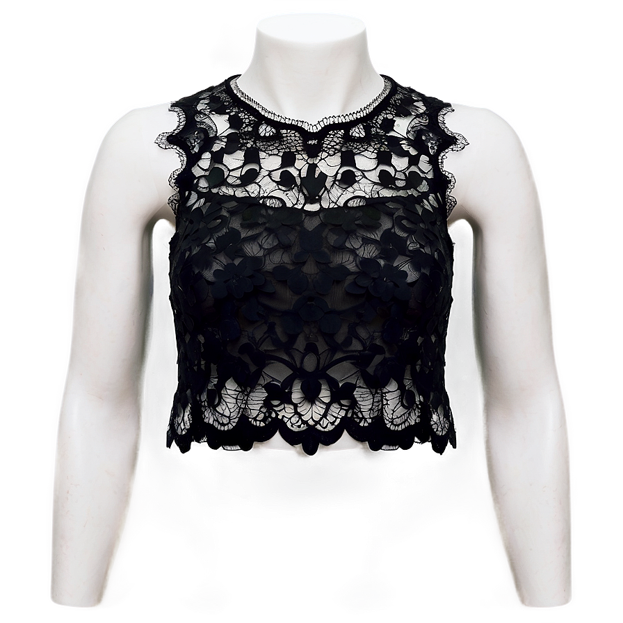 Lace Crop Top Png Jii