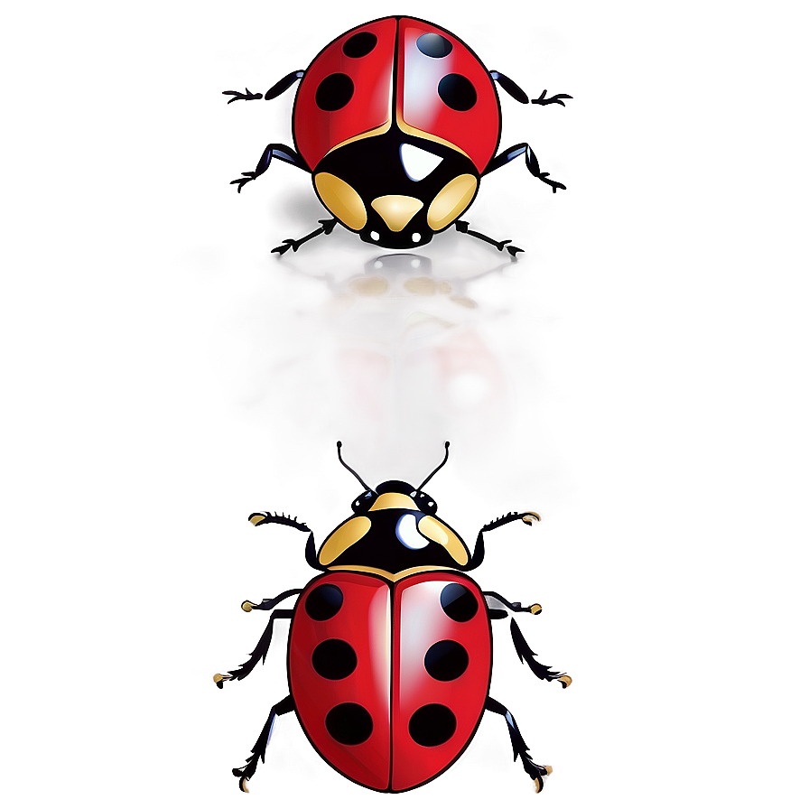 Ladybug Drawing Simple Png 05242024