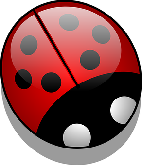 Ladybug Icon Graphic PNG with transparent background