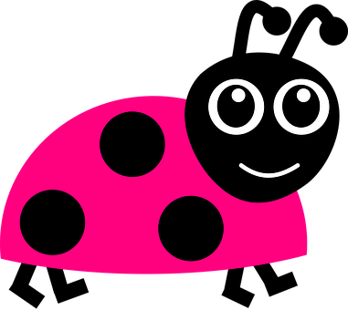 Ladybug