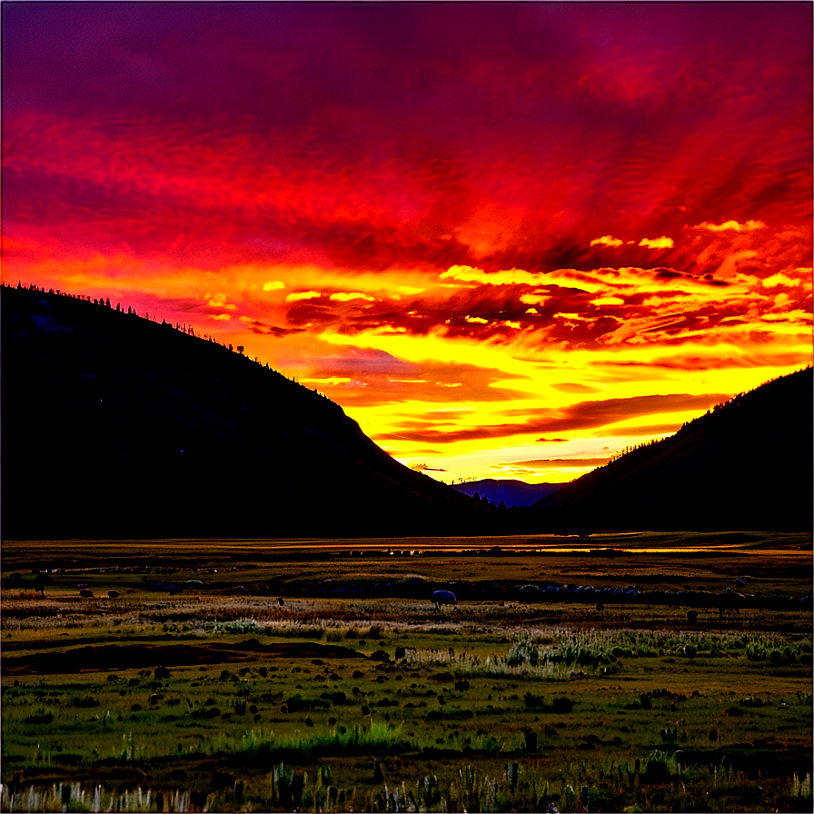 Lamar Valley Sunrise Yellowstone Png 06112024