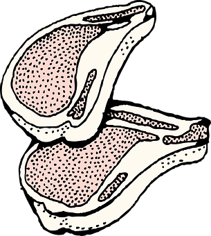 Lamb Chop Cuts Illustration PNG image with a transparent background, free high-resolution download