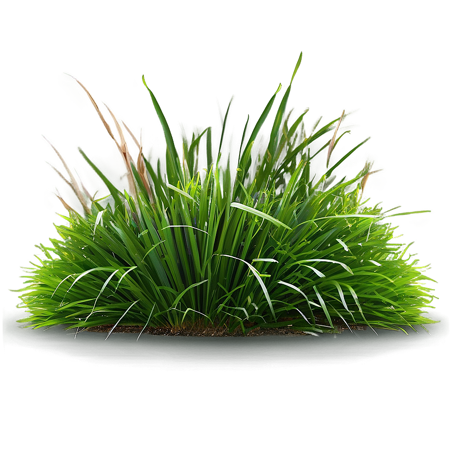 Landscape Grass Design Png 90