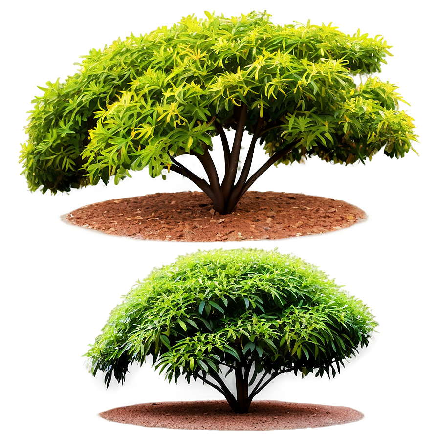 Landscaping Shrubs Png Udr8