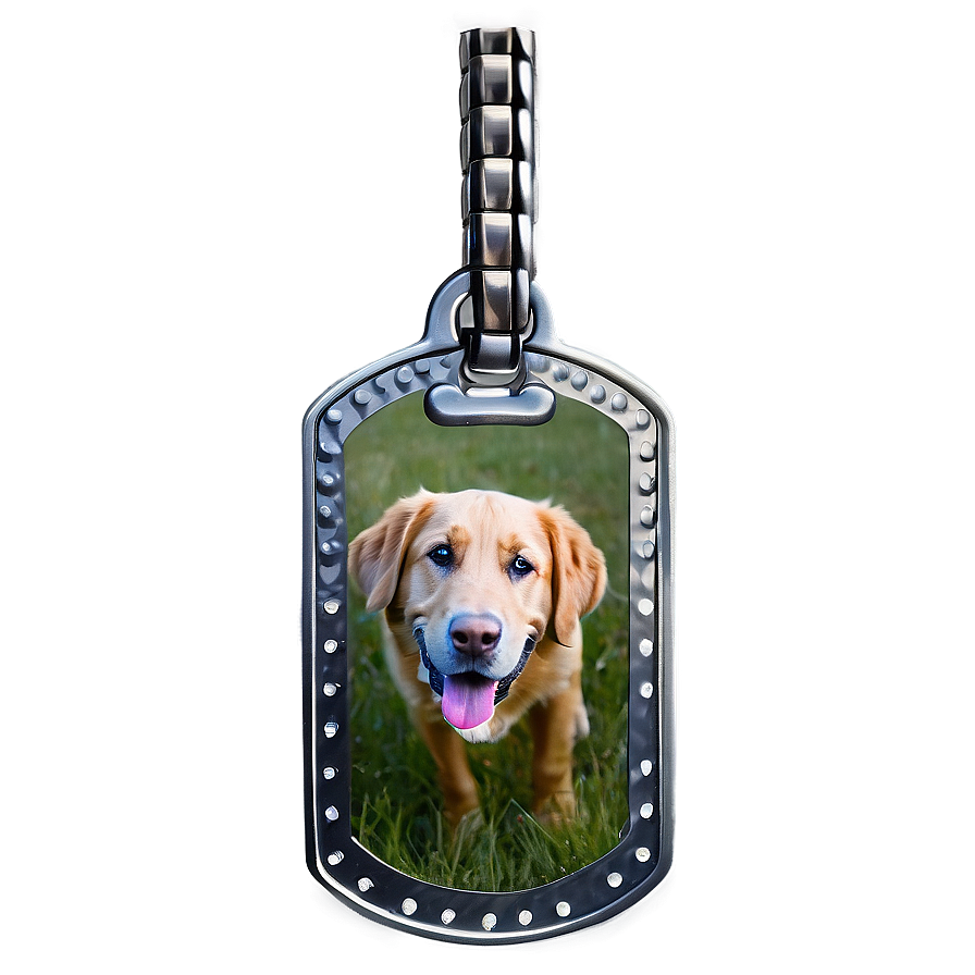 Large Dog Tags Png 72