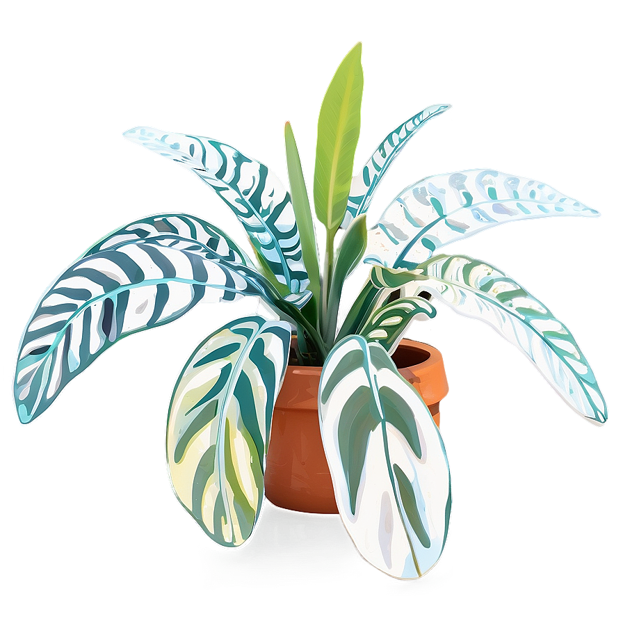 Large Indoor Plants Png Tpe