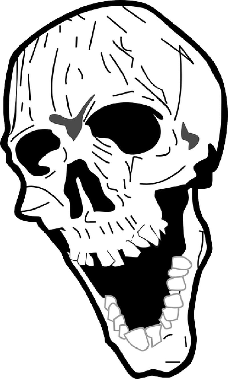 Skull, Nasty, Laughing, Bone, Death's Head, Death - Sideways Skull, HD Png Download PNG with transparent background