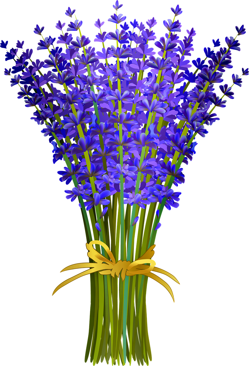 Lavender Bouquet Illustration PNG with transparent background