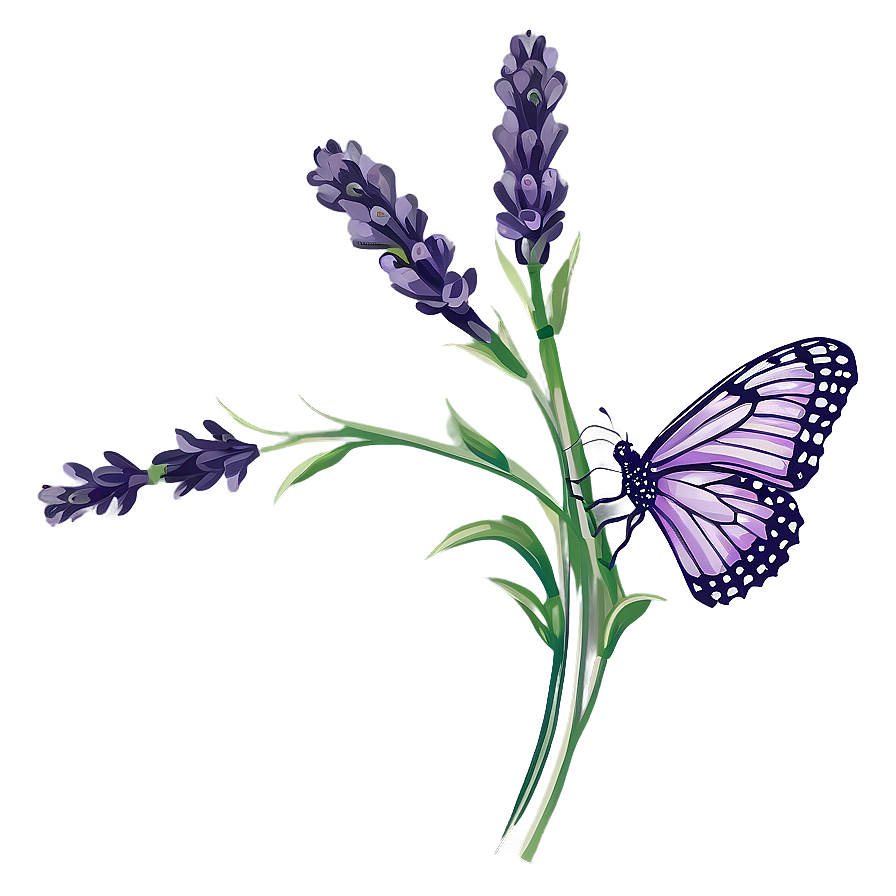 Lavender Butterfly Illustration PNG 05232024 PNG with transparent background
